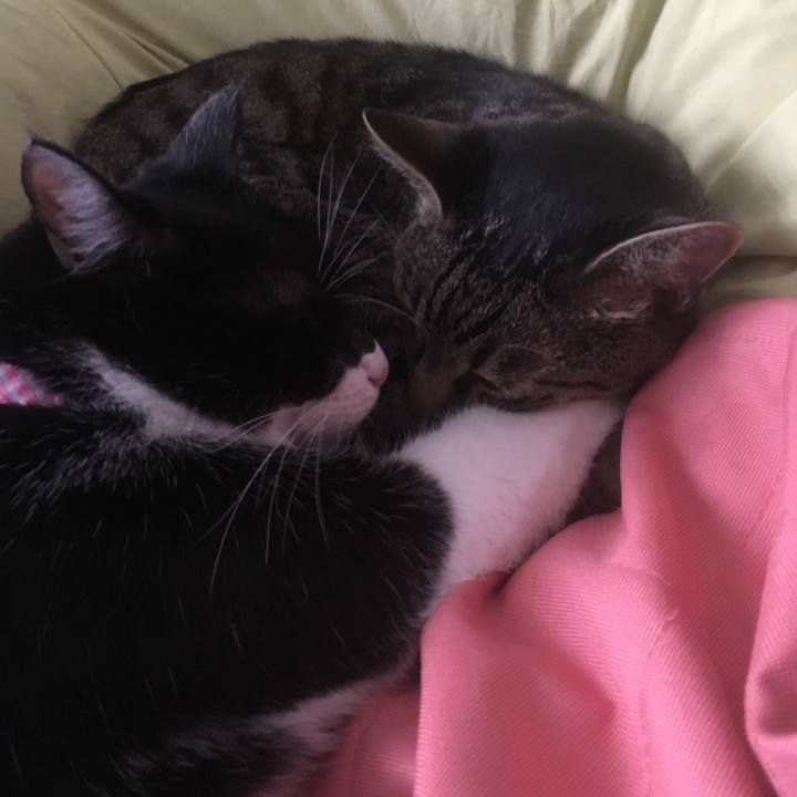 504a2c56 6577 4455 8a7e 5973cc8c06fb 1563778375148