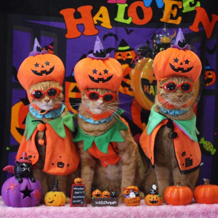 504a2e09 806c 414e 9832 51e07586a8a7 1729949616373