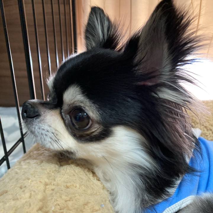 504a3267 bda0 412b 8621 d04e8dc3b77e 1651585608127