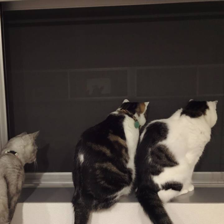 504a3937 22bc 4a33 8151 d67e36269960 1623584775557