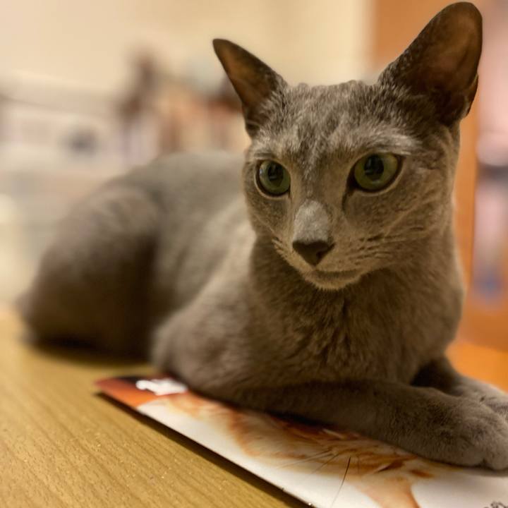 504a494f 07ed 460b 8343 41fead580eba 1688514419431