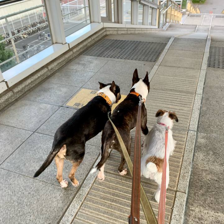 504a5d00 930a 4671 b0bd eac2ef9fe302 1604833065774