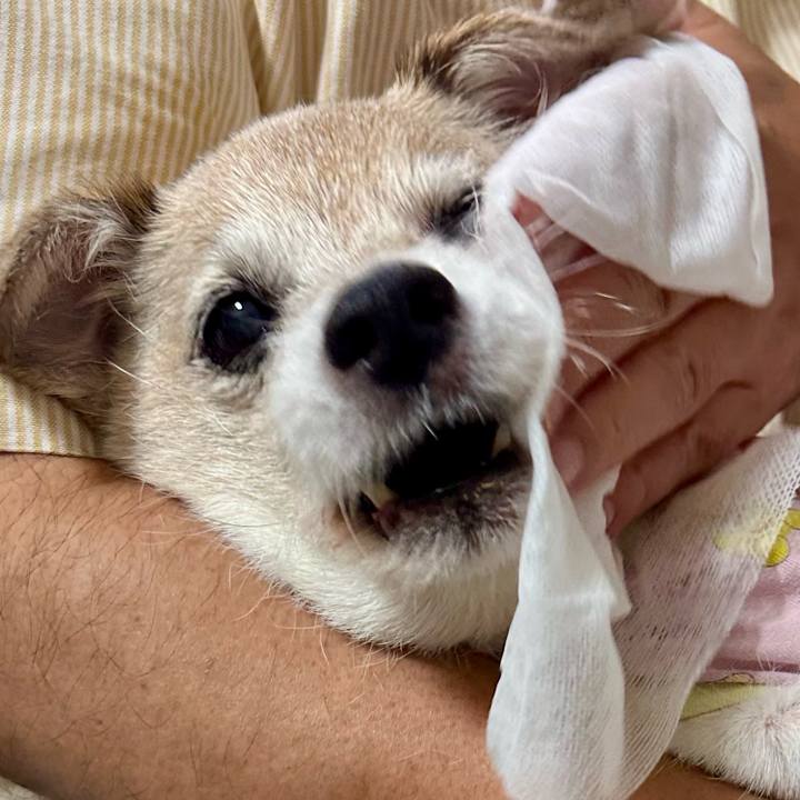 504a9902 7db7 4b7d a2c0 f09e8fa3a89e 1759051806568