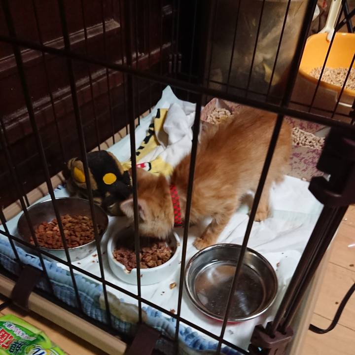 504acae0 846f 4c0e 85d0 8724eed50229 1628069950834