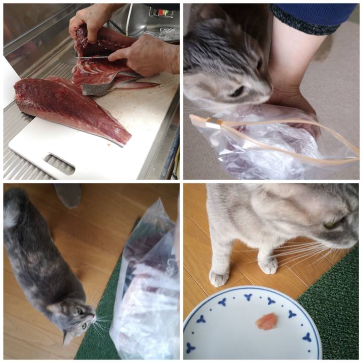 504b0432 db43 4e2b a3b8 de2932f85af2 1583722107430