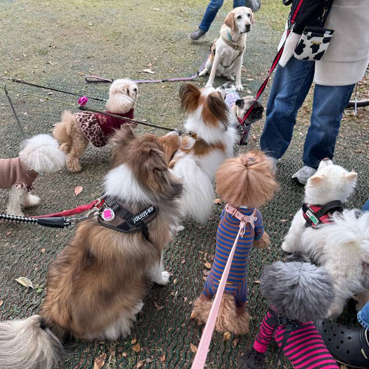 504b1bdb b3e6 4a66 9810 4233bc77a434 1761087482017