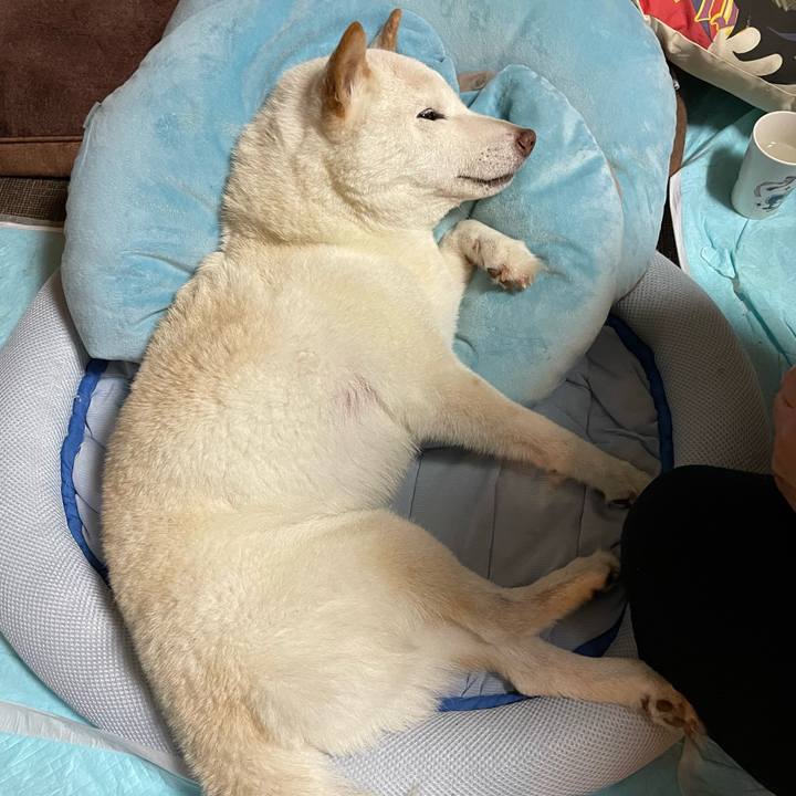 504b20bf ac33 4a9e 9d3a af2516debcb2 1656252660401