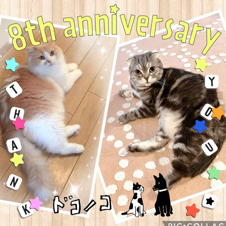 504b4df5 ec53 474d 852c 185ae5ba8f7d 1717687062028