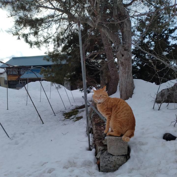 504b7357 15ec 423a be17 7f64df5c9445 1676184878595