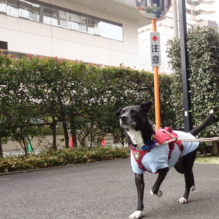 504ba7a7 fed5 46a7 a3b2 f466ab5df854 1671585229771