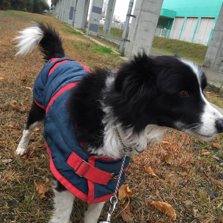 504bb6f7 6db9 4fca ab11 311b8de1455f 1515542197032