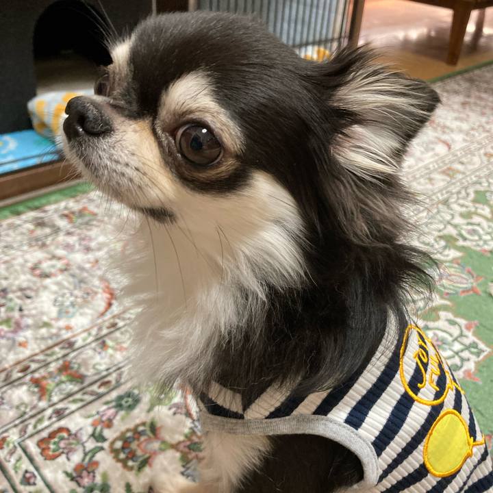 504bcc0c ae2e 4a05 81cb 5857deb5b3cd 1653745359279