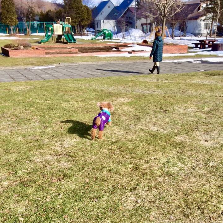 504bec9b 136f 4516 9451 3d604be14265 1553528052990