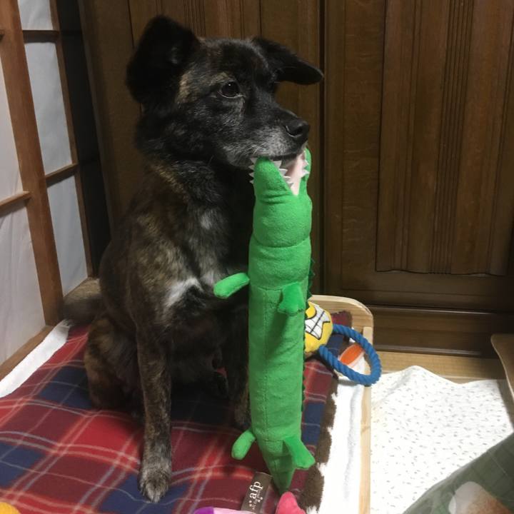 504bf5fa f9e5 4df5 855f 5383bc718c61 1546419091083