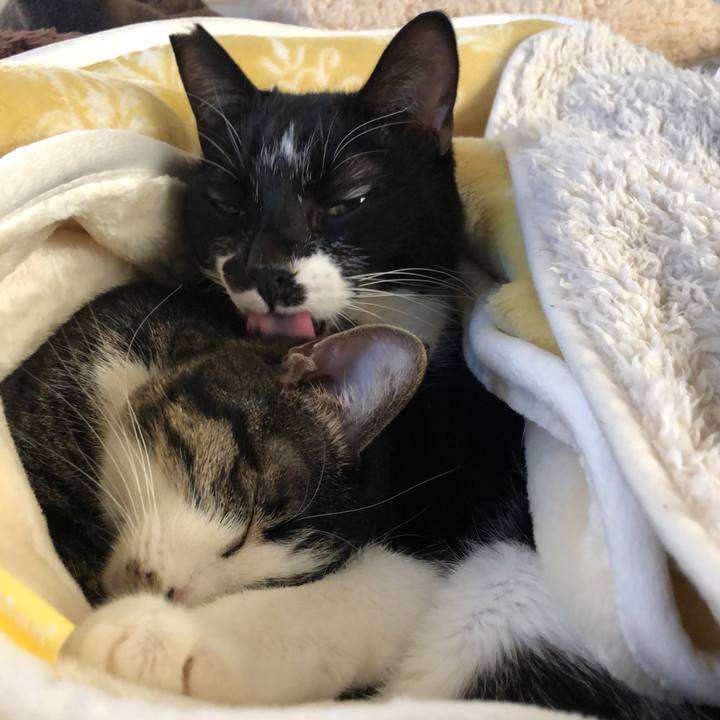 504c8165 d4c4 49e9 9688 ccaf456795f5 1642109055031