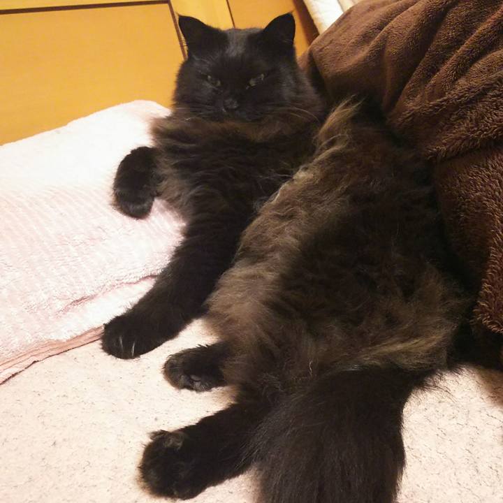 504cb710 2163 48aa b22c b5b6963b81d5 1550503561602