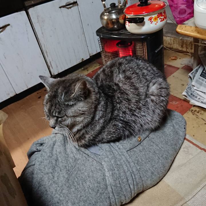 504cc958 26e0 411f bf6a f2c278b786bb 1576404136662