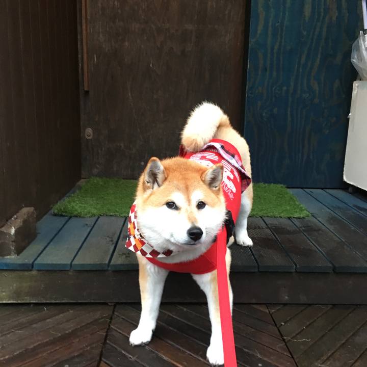 504cd54f 0804 42c1 99e1 a27571dab43c 1575727617650