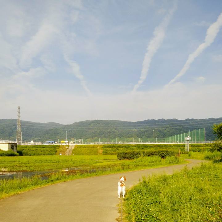 504cdc51 24d1 4c55 818f 75bb6f5a6403 1529581989193