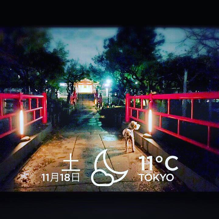 504d08e8 c32d 4e69 a4cd 676a3f9ec996 1511013094772