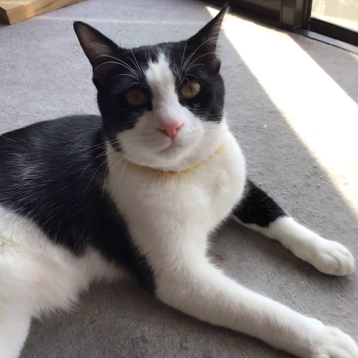 504d15e3 5236 4c92 ae4c 7269e38891b6 1649739236985