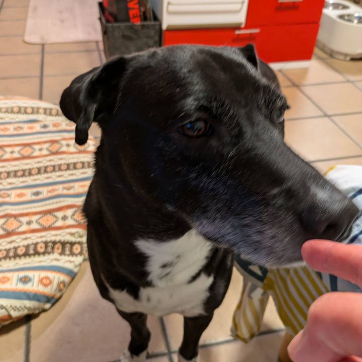 504d259f d720 46e3 ac2f 3421e532932e 1725799757237