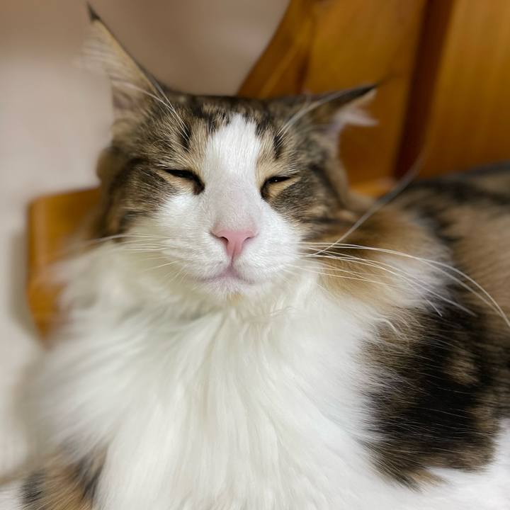 504d384b 6f65 4da5 a456 48529196d577 1644741171892