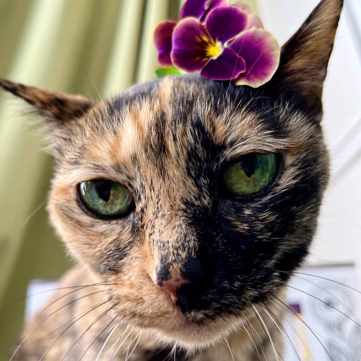 504d62b6 6f2b 4da8 95ee 1ed8c38358cb 1709187802816