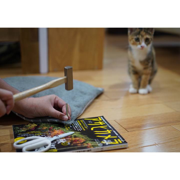 504d6fe1 4475 43b1 b48f b481230581b2 1572164252236