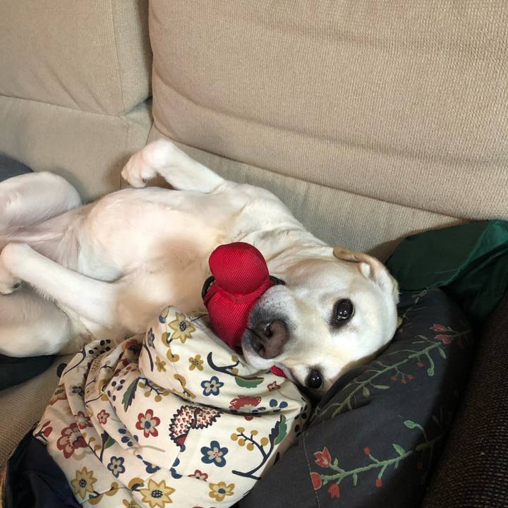 504d75c9 8b12 407c 9e60 f922196d28ad 1650290281090