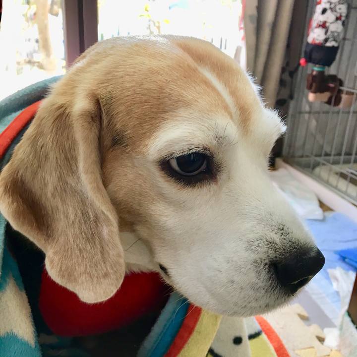 504db741 499a 4195 b405 d8507cf6892f 1550461188038