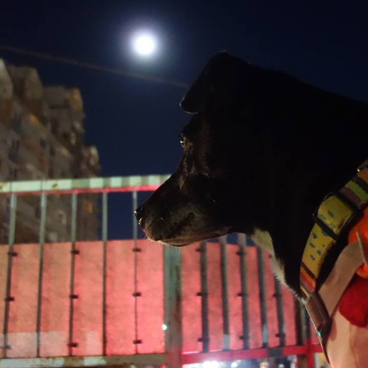 504df2e0 9685 4e18 bdb7 c729f412fbc9 1734259636389