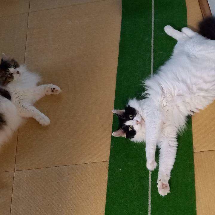 504e5efd 7a56 449d 84fd 0cd62faa07c2 1661121423109