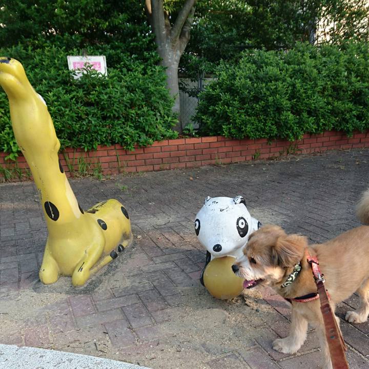 504e709b a137 43f4 9190 d9dc7d21d3a6 1527803993786