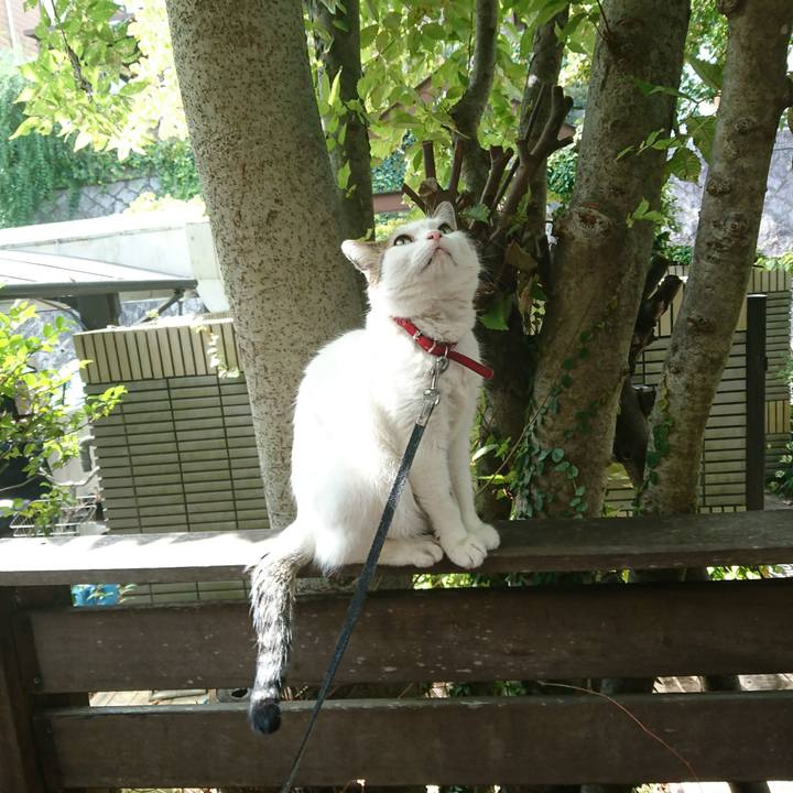 504e8b6c 4403 4e5c a718 4ba61f5c9e2c 1535590491705