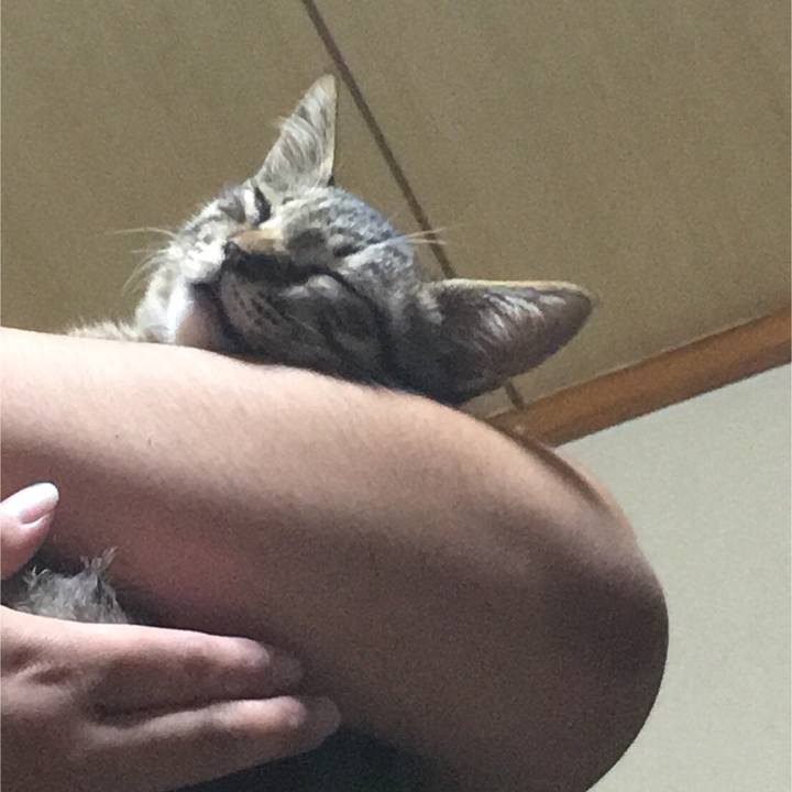 504e91a6 2c19 4b52 9555 684f6d06df76 1537187056833