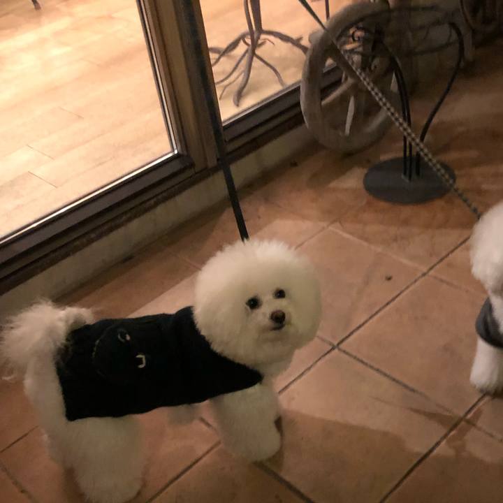 504ea9be 82c0 4b29 a33b 897a3605aded 1516458208579