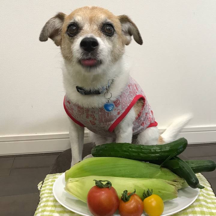 504eb295 cbe2 4d09 94e9 7b0a35dbd78a 1624076133153