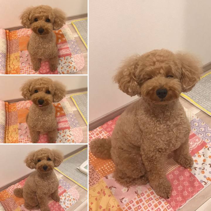 504ed249 afb5 4244 b1e9 83a9ca209e9e 1565433911532