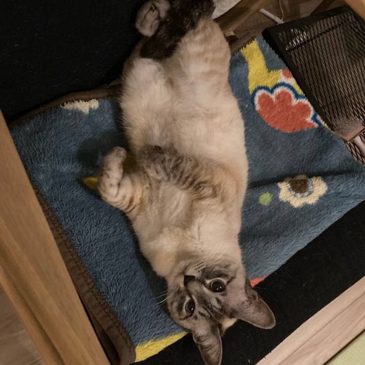 504ee6ad 5716 44ec 8535 590cddf8ab2b 1712661348026