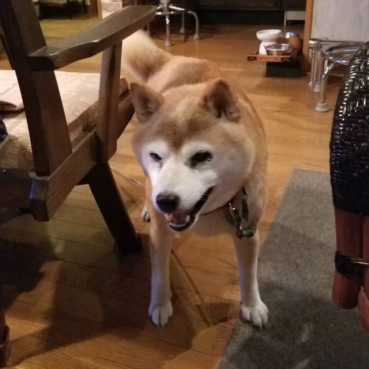 504f073f 9d26 4ab0 b31e cfd33f001cd6 1724061743072