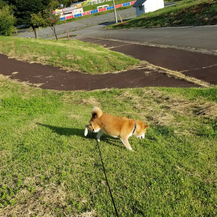 504f1651 093f 4119 9387 f17b4ad274c4 1568038849618