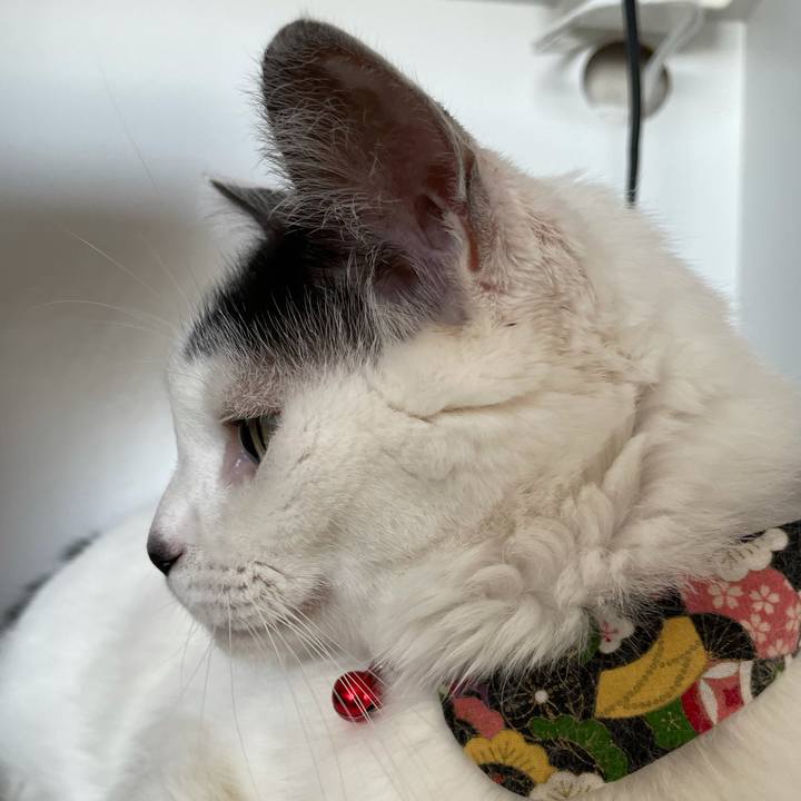 504f1886 090d 408b 90e8 f5e6606640c3 1631341669751