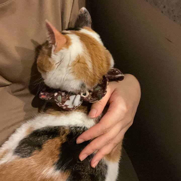 504f2df6 3b8e 4e29 8759 1969e8b329f2 1745144405669