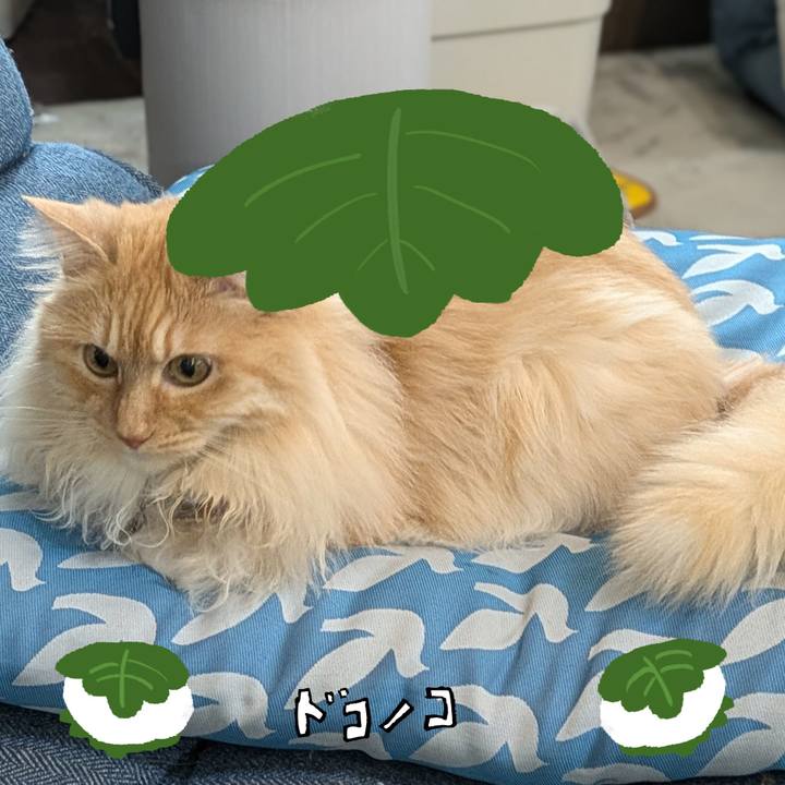 504f8690 c112 4eb5 a7c8 197a86cad918 1749095116763