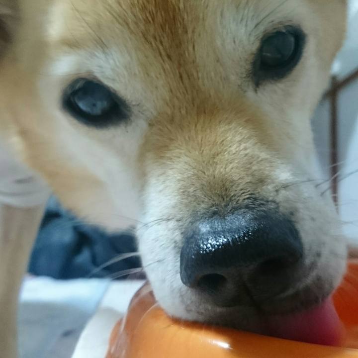 504f89a9 1428 4d8d 9114 9e2162e5a8b8 1511220308617