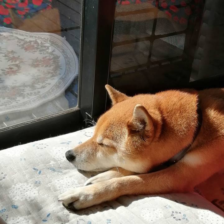 504f8b01 b6be 440e 8c63 06d5588df0da 1580434128708