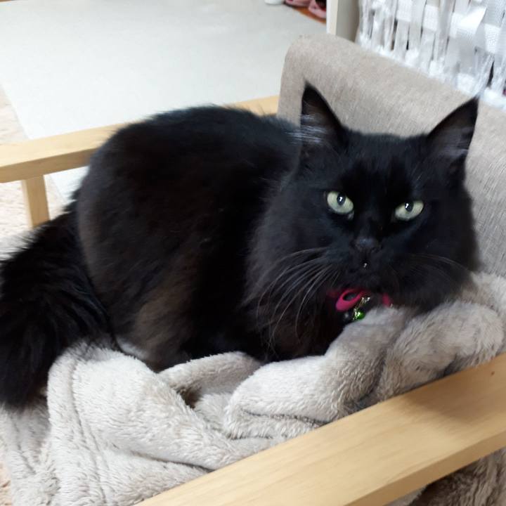 504f8d1f e9a5 4543 8dbe 441ab787352b 1519724074853