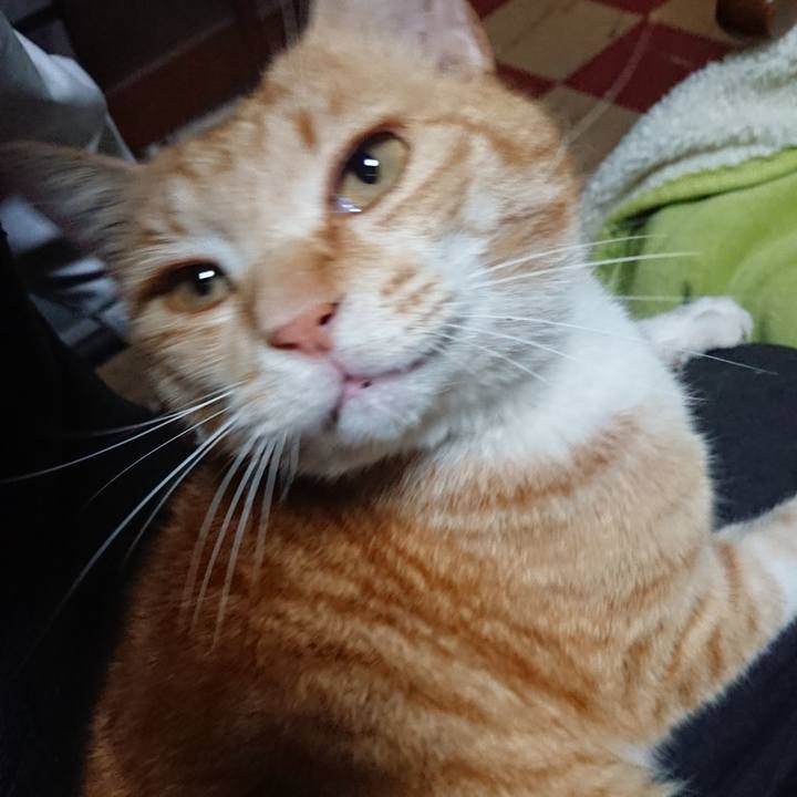 504f94d3 5130 4f82 a471 27e1a3033234 1586768355675