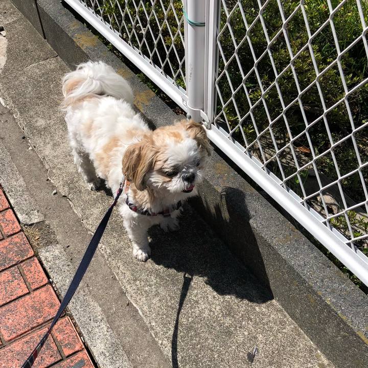 504fd86f 83bb 444c bed6 07af33378f70 1525988165913